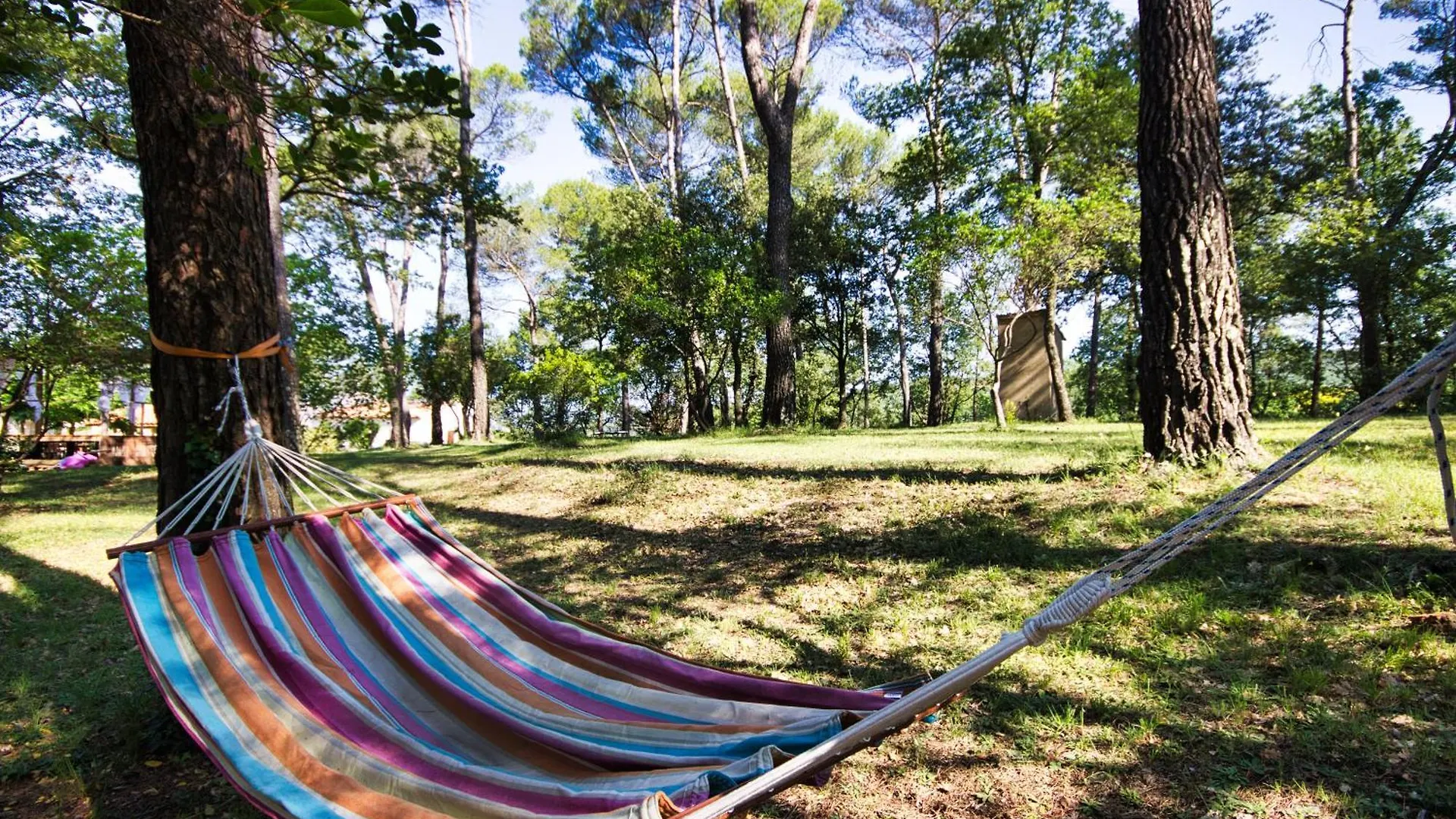 Ferienhaus Le Domaine De L'Olivier, L Ieu De Bien-Etre Solidaire Brignoles Frankreich